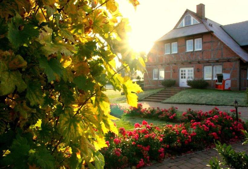 标准间带湖景, Flair Seehotel Zielow