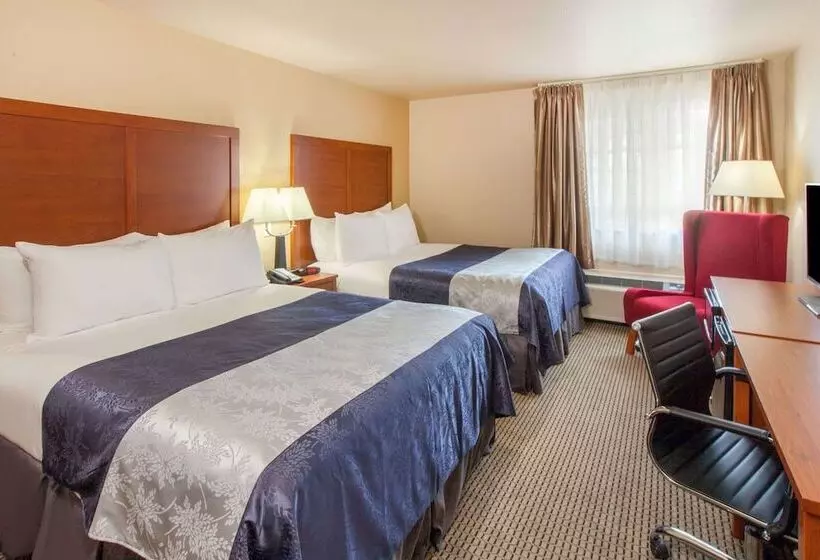 身障者適用スタンダードルーム, Baymont By Wyndham Grand Forks