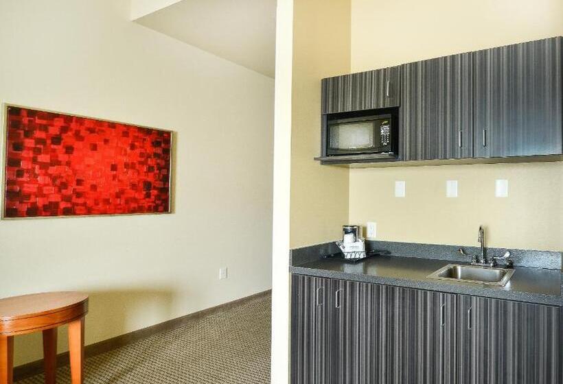 חדר סטנדרט עם מיטת קינג, Baymont By Wyndham Grand Forks