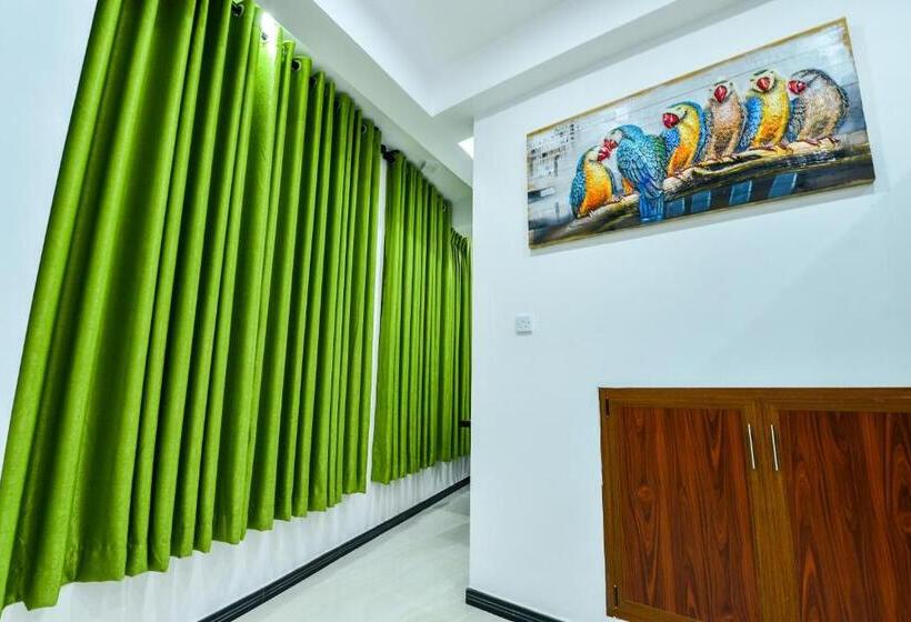 דירת חדר, Peacock