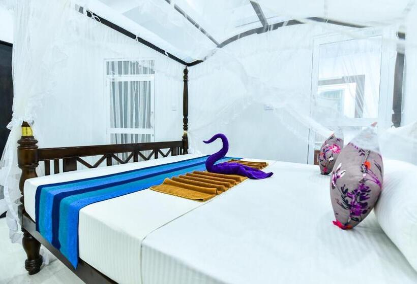 דירת חדר, Peacock