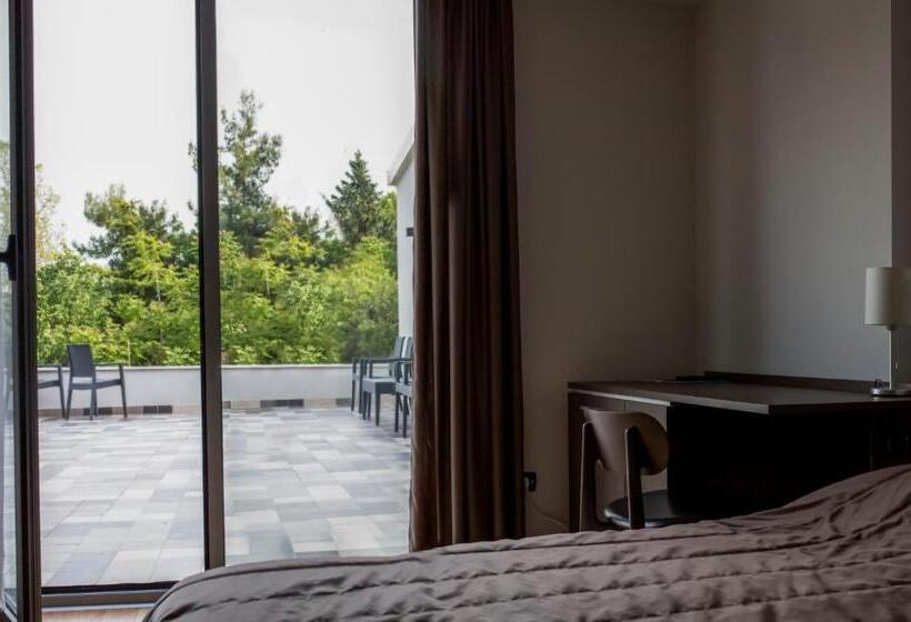 اتاق استاندارد, Romantique Plaza Dojran