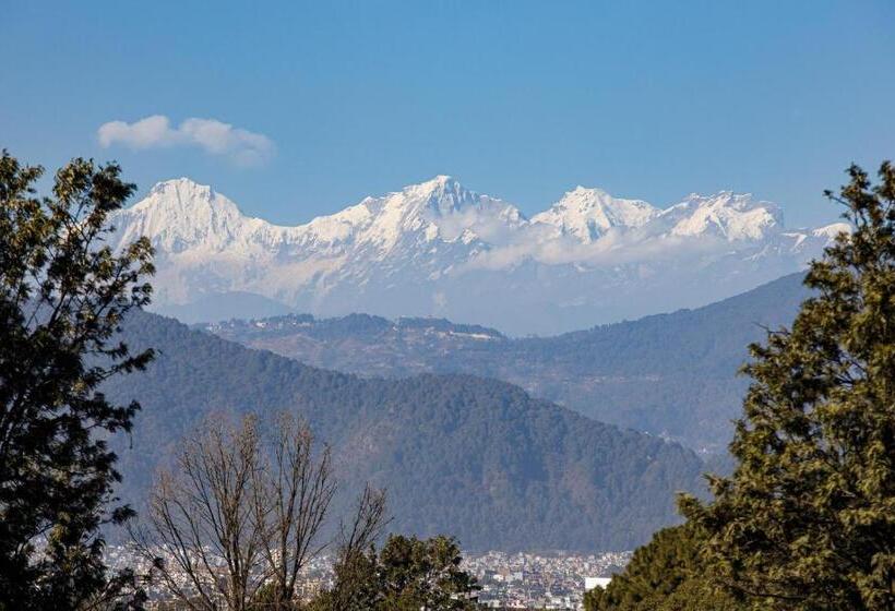 سوییت جونیور, Shaligram Hotel & Spa