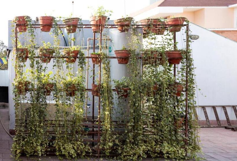 سوییت, Shaligram Hotel & Spa