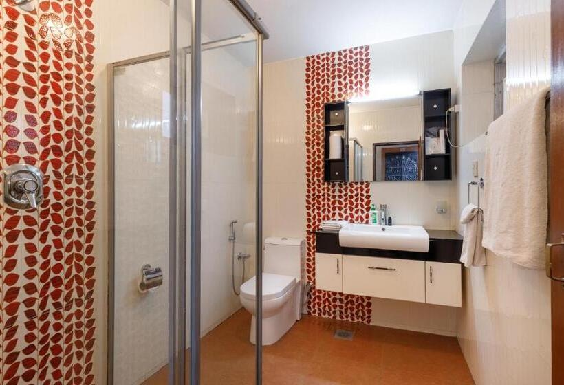 اتاق استاندارد, Shaligram Hotel & Spa