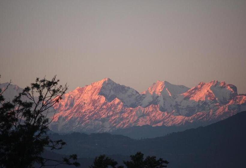 اتاق استاندارد, Shaligram Hotel & Spa