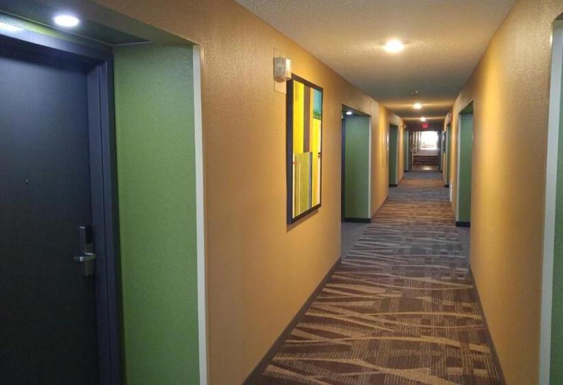 身障者適用キングサイズベッドルーム, Super 8 By Wyndham Copley Akron