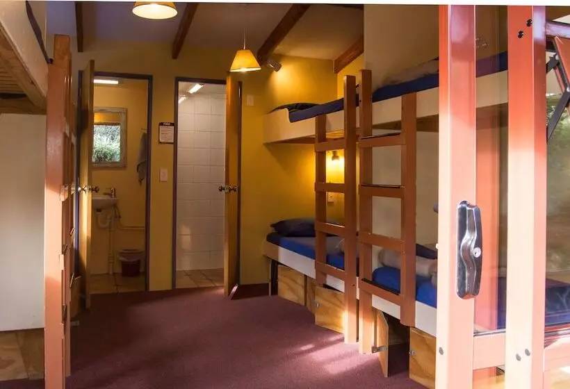 Llit en Habitació Compartida, Paradiso Backpacker Hostel