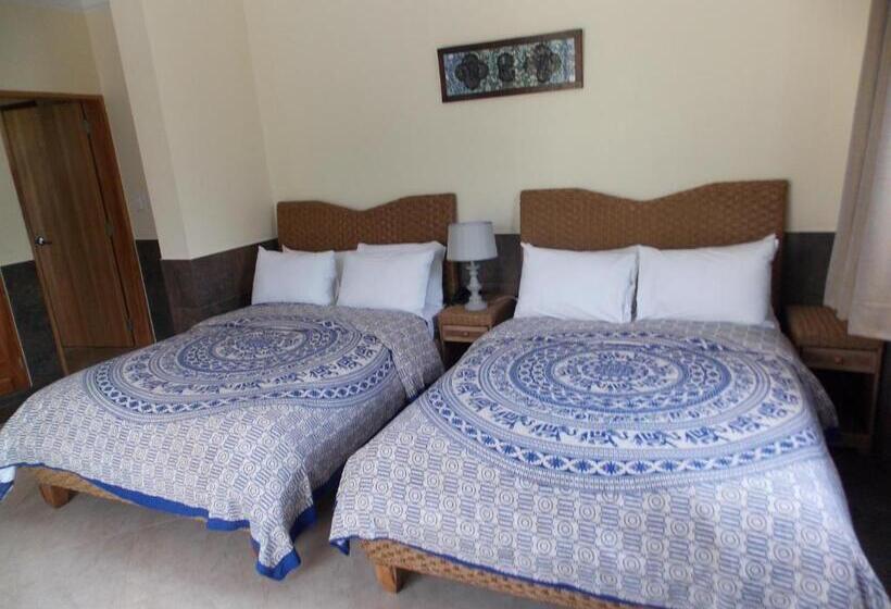 اتاق خانوادگی, Dharma Beach