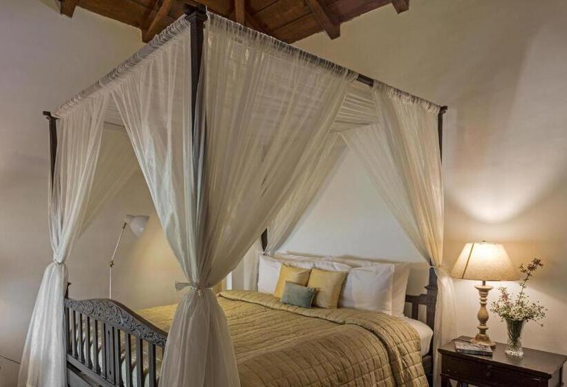 בית, 3 חדרי שינה, Te Aroha By Shervani