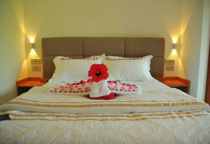 اتاق استاندارد, Palmrest Kaashidhoo Maldives