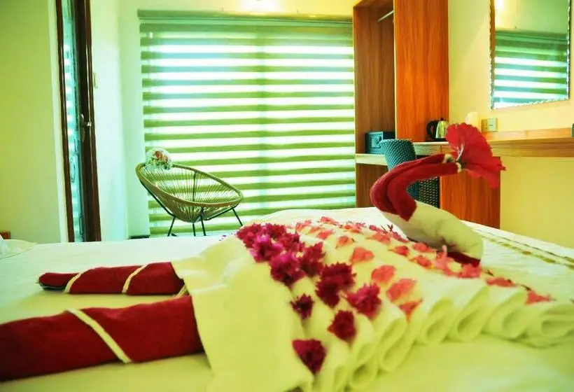 اتاق استاندارد, Palmrest Kaashidhoo Maldives