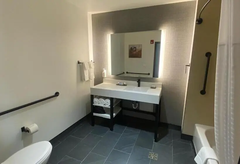 身障者適用キングサイズベッドルーム, La Quinta Inn & Suites By Wyndham Yucaipa