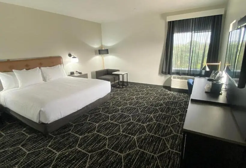 身障者適用キングサイズベッドルーム, La Quinta Inn & Suites By Wyndham Yucaipa
