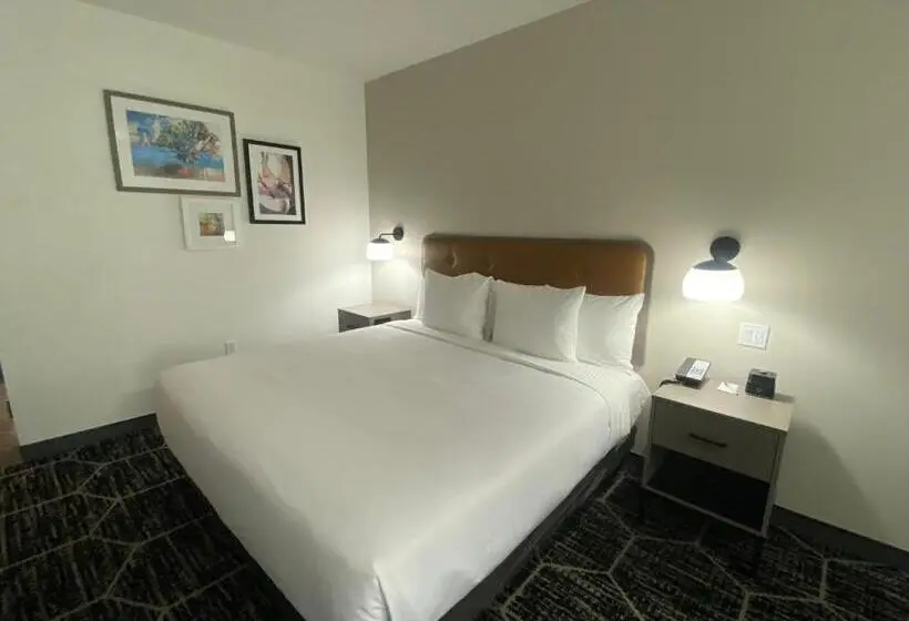 身障者適用キングサイズベッドルーム, La Quinta Inn & Suites By Wyndham Yucaipa
