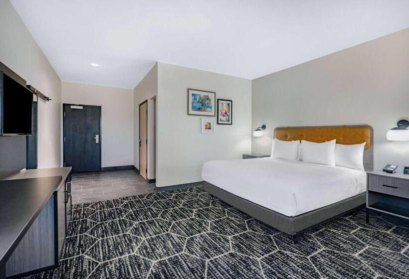 장애인을 위한 킹사이즈 침대 스탠다드 룸, La Quinta Inn & Suites By Wyndham Yucaipa