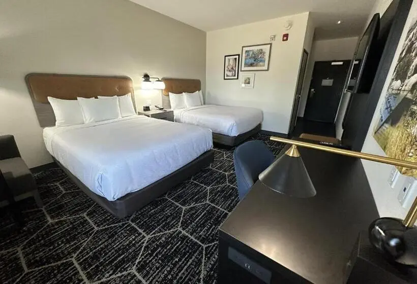 身障者適用クイーンサイズベッドルーム, La Quinta Inn & Suites By Wyndham Yucaipa