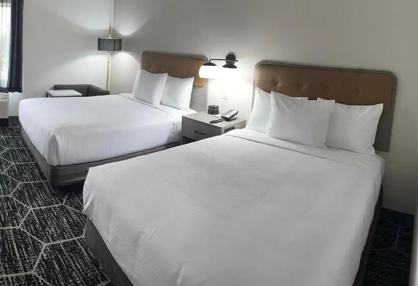身障者適用クイーンサイズベッドルーム, La Quinta Inn & Suites By Wyndham Yucaipa