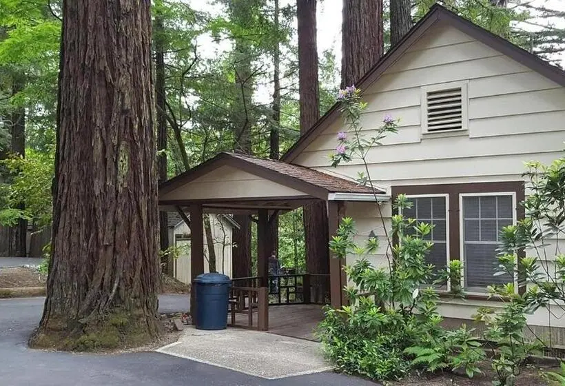 キングサイズベッドのデラックススイート, Miranda Gardens Resort