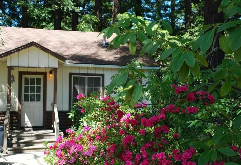 キングサイズベッドのデラックスルーム, Miranda Gardens Resort