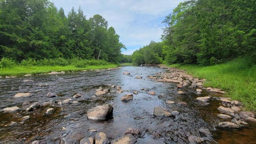 חדר סטנדרט, Snow Chasers Lodge