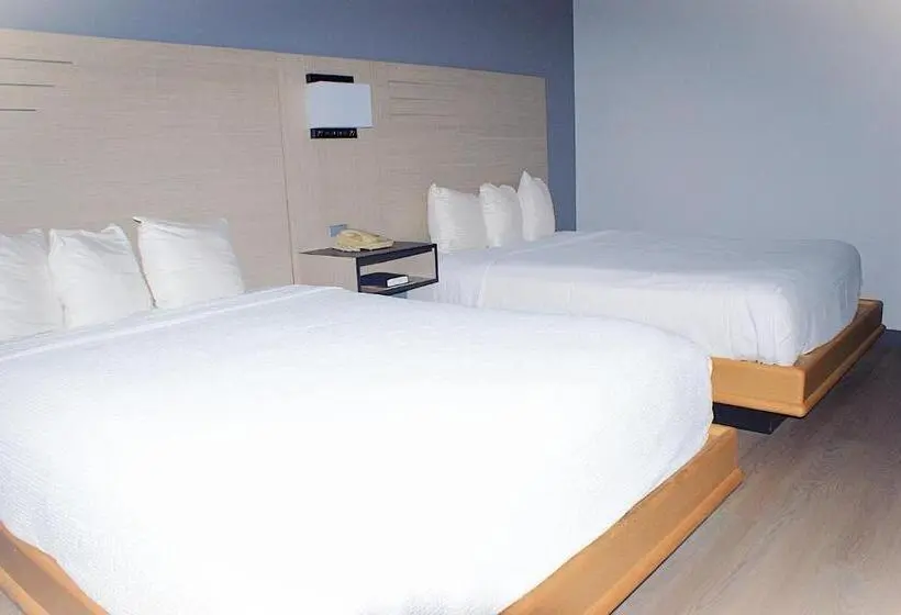 スタンダードルーム, Sonesta Essential Van Buren