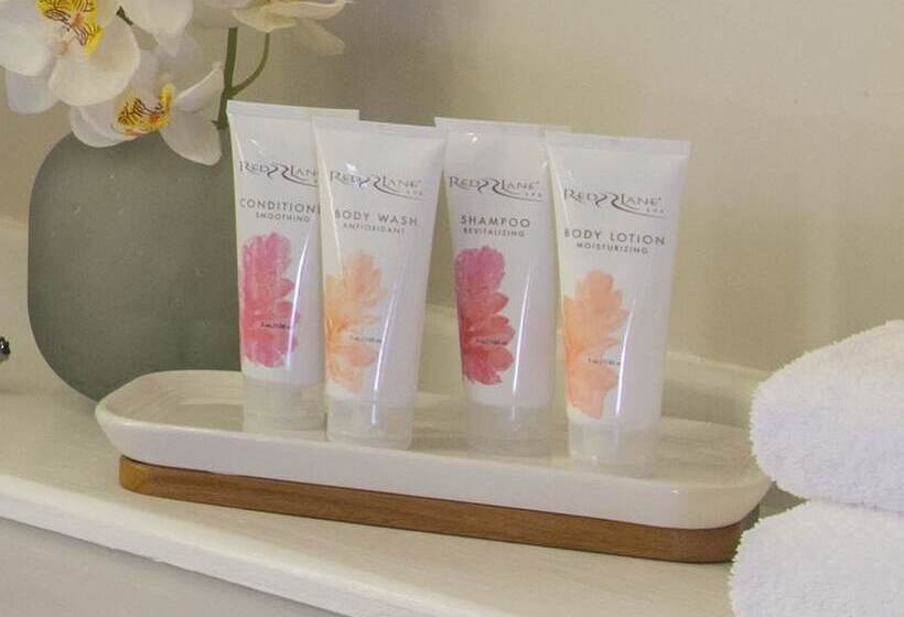 اتاق لوکس, Sandals Dunns River All Inclusive Couples Only