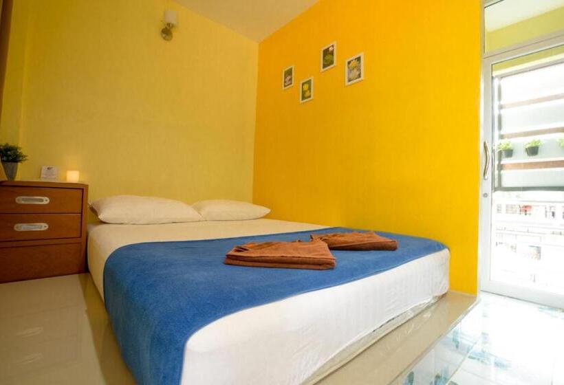 غرفة أساسية, Good Dream