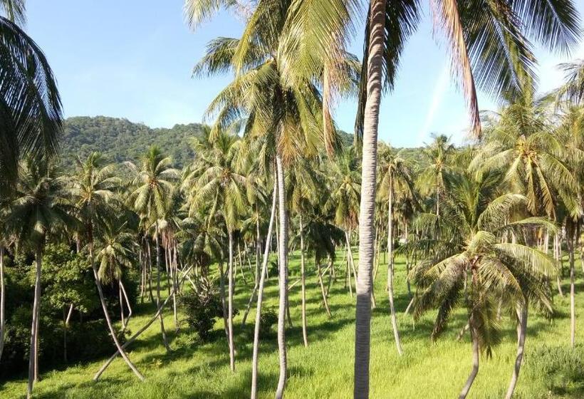 غرفة ديلوكس ثلاثية, Good Dream