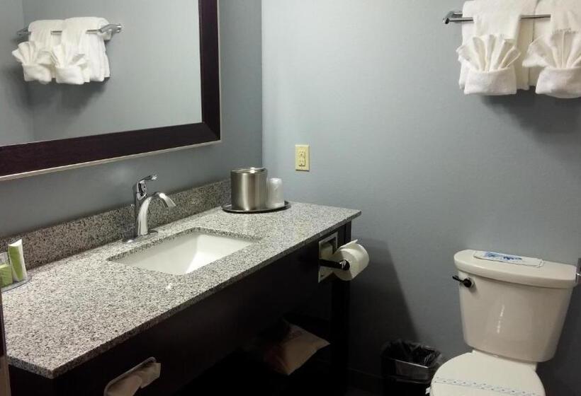 Люкс Кровать Кинг, Best Western Plus Boardman Inn & Suites