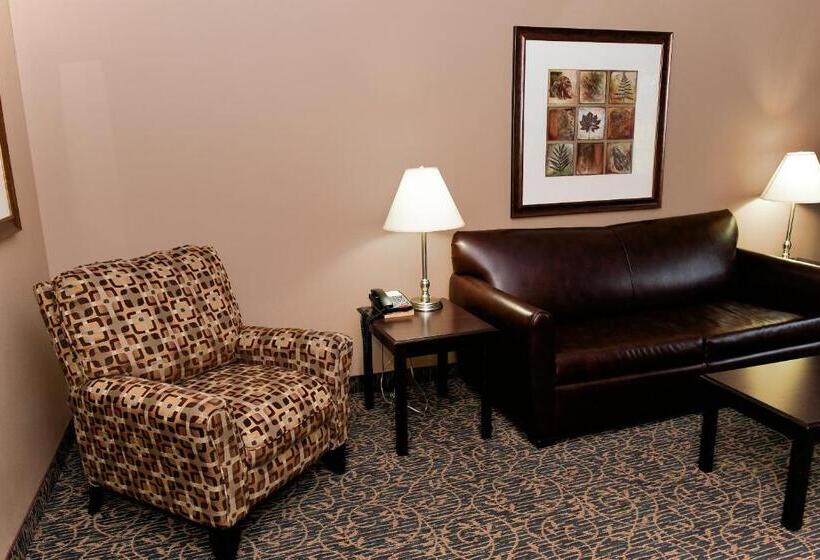 غرفة إدارية سرير كينج, Cobblestone Inn & Suites   Denison | Majestic Hills