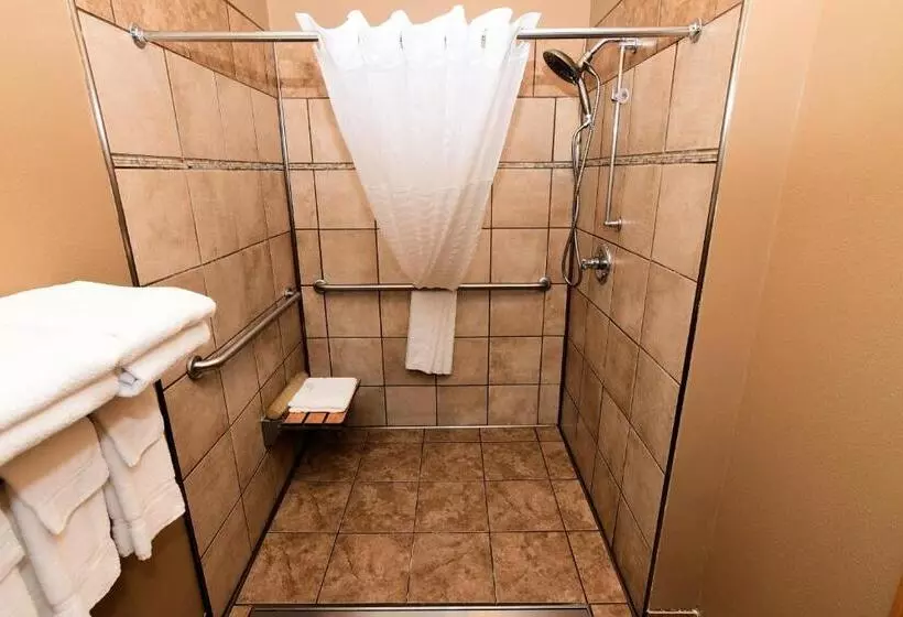 身障者適用キングサイズベッドルーム, Cobblestone Inn & Suites   Denison | Majestic Hills