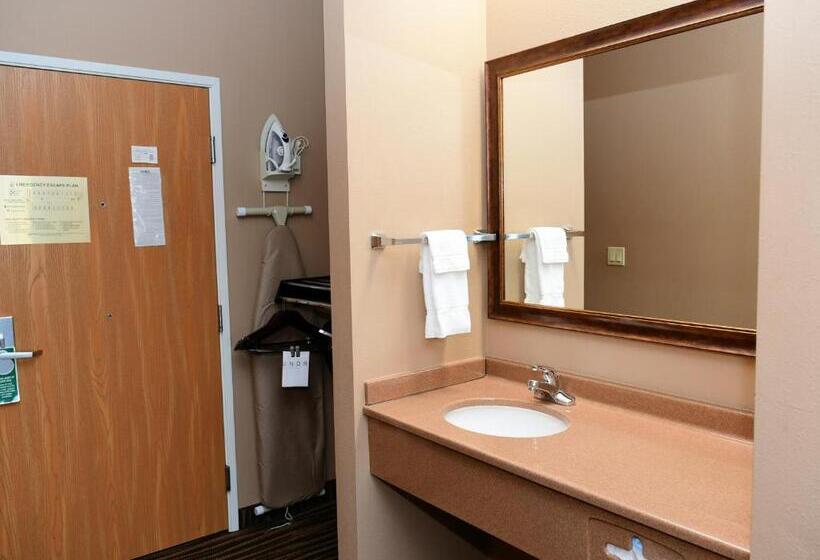 Номер Стандарт Кровать Кинг Адаптированный для Инвалидов, Cobblestone Inn & Suites   Denison | Majestic Hills