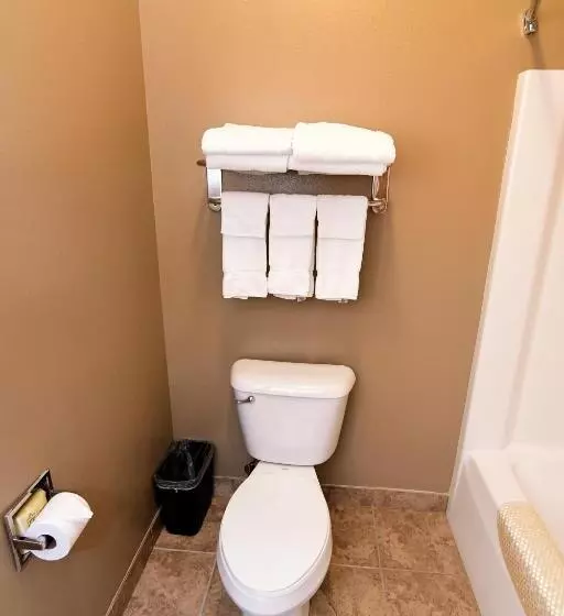 キングサイズベッドのスタンダードルーム, Cobblestone Inn & Suites   Denison | Majestic Hills