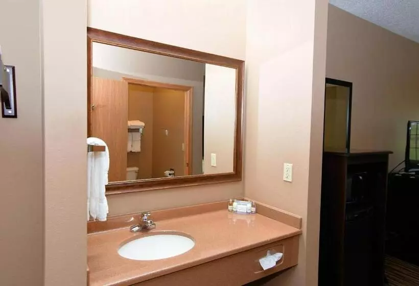 キングサイズベッドのスタンダードルーム, Cobblestone Inn & Suites   Denison | Majestic Hills