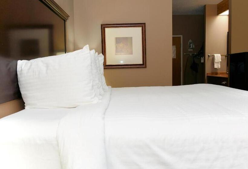 غرفة قياسية سرير كينج, Cobblestone Inn & Suites   Denison | Majestic Hills