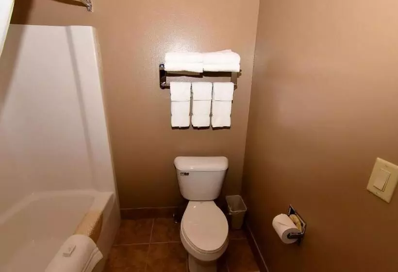 スイート, Cobblestone Inn & Suites   Denison | Majestic Hills