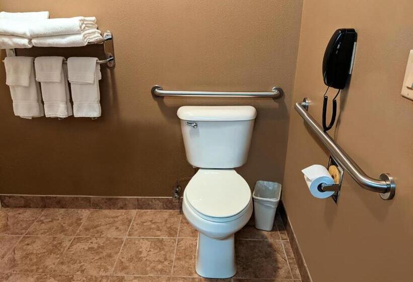 Номер Стандарт Кровать Кинг Адаптированный для Инвалидов, Cobblestone Inn & Suites   Denison | Majestic Hills
