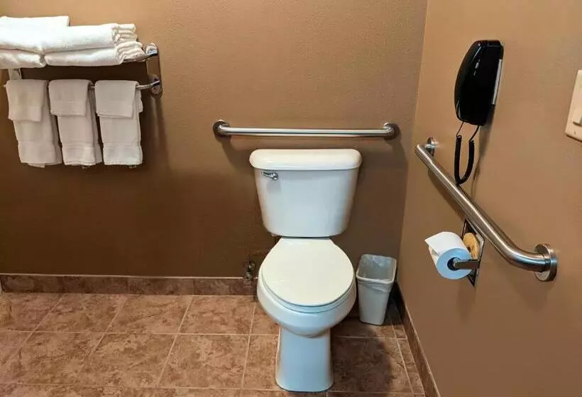 身障者適用キングサイズベッドルーム, Cobblestone Inn & Suites   Denison | Majestic Hills