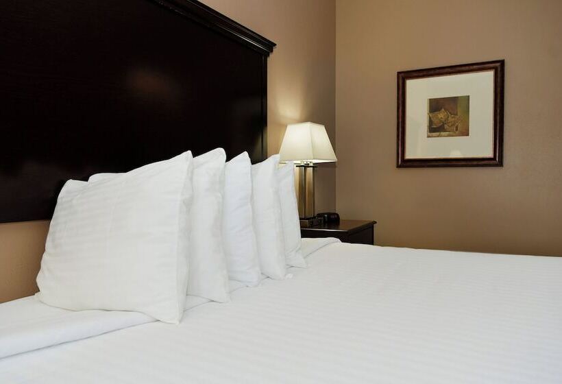 غرفة قياسية سرير كينج لذوى الإحتياجات الخاصة, Cobblestone Inn & Suites   Denison | Majestic Hills