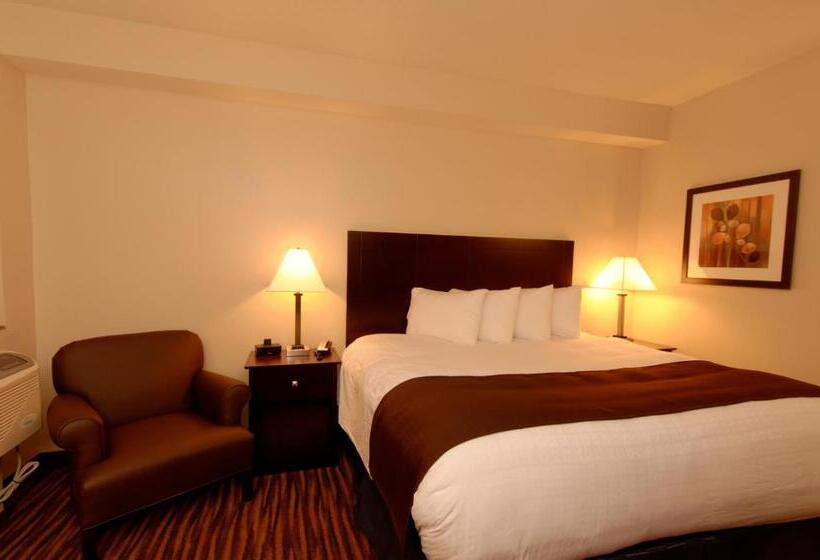 Стандартный Номер Кровать Кинг, Cobblestone Inn & Suites  Fort Madison