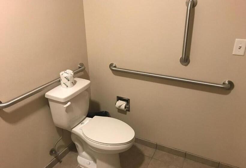 غرفة قياسية سرير كينج لذوى الإحتياجات الخاصة, Cobblestone Inn & Suites  Fort Madison