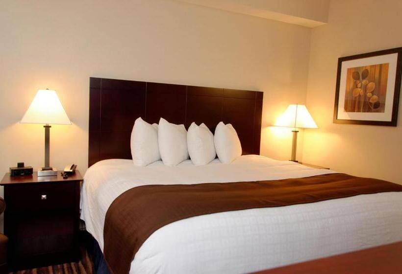 غرفة قياسية سرير كينج لذوى الإحتياجات الخاصة, Cobblestone Inn & Suites  Fort Madison