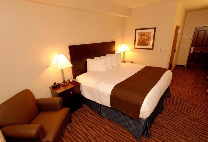 غرفة قياسية سرير كينج لذوى الإحتياجات الخاصة, Cobblestone Inn & Suites  Fort Madison
