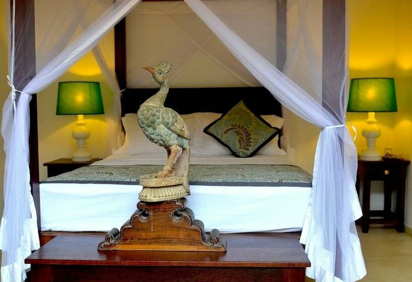 Habitació Estàndard, Fortaleza