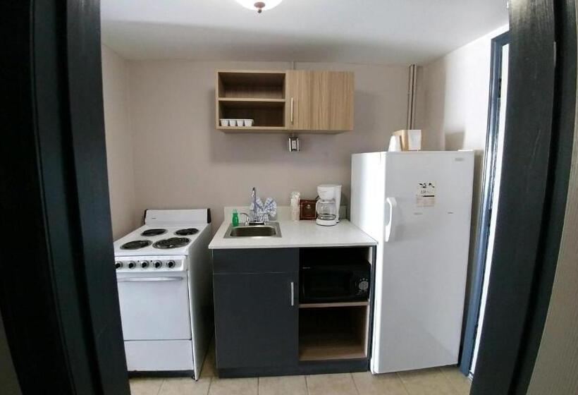 סטודיו סטנדרטי נוף לים, Garden City Inn