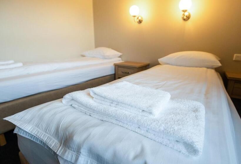 اتاق استاندارد یک نفره, Adventure Hotel Geirland