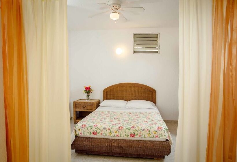 اتاق اکونومی, Restaurant Cyvadier Plage