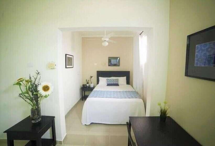 اتاق سوپریور, Rig Casa Conde