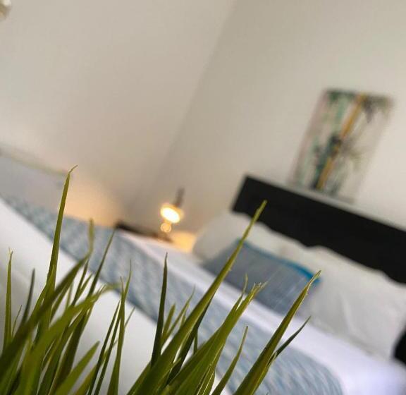 اتاق استاندارد, Rig Casa Conde